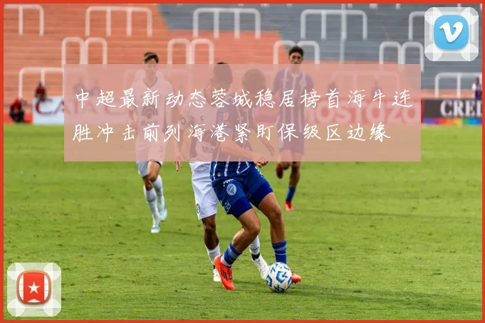 中超最新动态蓉城稳居榜首海牛连胜冲击前列海港紧盯保级区边缘