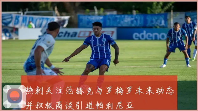 热刺关注范赫克与罗梅罗未来动态并积极商谈引进帕利尼亚