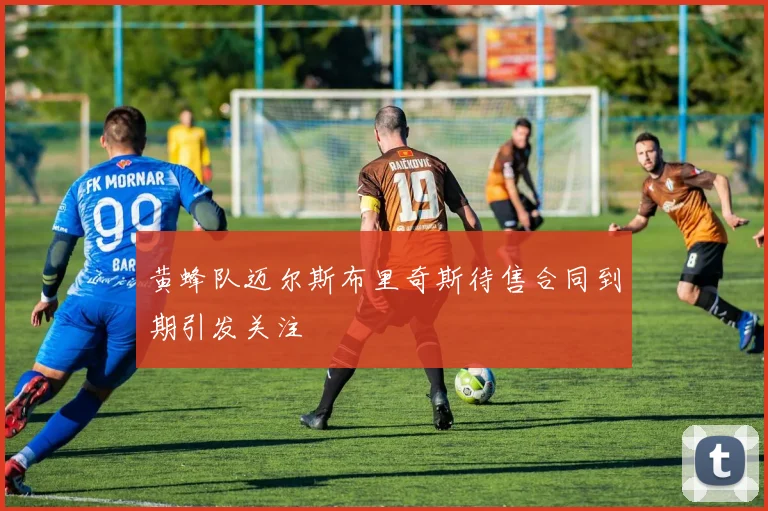 黄蜂队迈尔斯布里奇斯待售合同到期引发关注