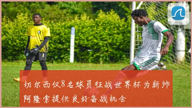 切尔西仅8名球员征战世界杯为新帅阿隆索提供良好备战机会